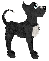 Profile image of Fractal/King's Always Beside You