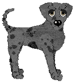 Profile image of Xoops/Tangled's Lee-ver or -Leh-ver