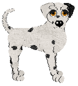 Tangle's Reflection from a Dream — “Tangerine”