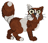 King's Travis County — “Austin”