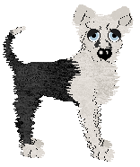 Cargo/King's Notorious Horseman — “Apache”