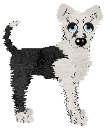 Cargo/King's Notorious Horseman — “Apache”