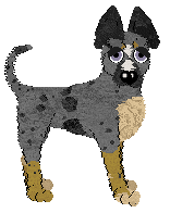 Profile image of Funfetti/King's Craving a Digestive