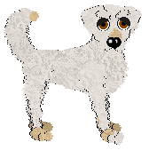 Profile image of Frogbowl/King's Destined to Be Something More