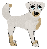 Profile image of SGP/King's Ace Up My Sleeve