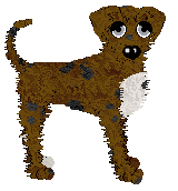 Amenity’s Wildwood Prince at Opolire — “Rowan”