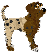 Echotooth Chips Ahoy @ Mockingbird — “Billie”