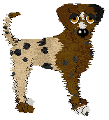 Profile image of Echotooth Chips Ahoy @ Mockingbird