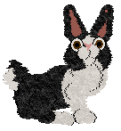 Profile image of Coriander's Serpent of Chaos