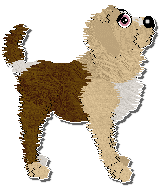 Profile image of King's Traveling Carnival at Perfume