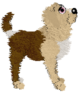 King's Traveling Carnival at Perfume — “Feria”