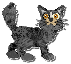 Profile image of EC's Skies For Everyone at Perfume