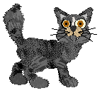 EC's Skies For Everyone at Perfume — “Jetson”