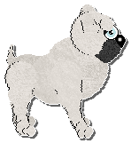 Profile image of King's Roguelike Rascal at Perfume