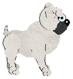 King's Roguelike Rascal at Perfume — “Marauder”