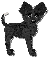 Profile image of Wild Road's Cœur de France