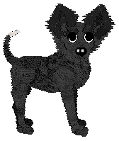 Wild Road's Cœur de France — “Palmier”