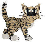 Ferality's Stache Slinging Dasher — “Dash”