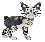 Ferality's Call Him By His Name — “Bingo”