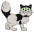 Profile image of Calluna's A House in Fez