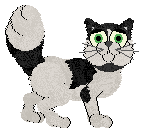 Calluna's A House in Fez — “Fezco”