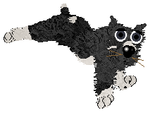 Poppyhill's Magical Lasso — “Raoul”