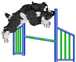 Poppyhill's Magical Lasso — “Raoul”