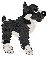 Poppyhill's Magical Lasso — “Raoul”