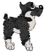 Profile image of Poppyhill's Magical Lasso