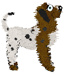 King/Poppyhill's Up Your Sleeve — “Armie”