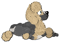 Profile image of Poppyhill's Dauphin of Viennois