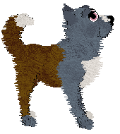 Profile image of Zan/King's Stone Heart