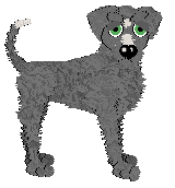 Profile image of Witz/King Gift Under Another Name