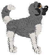 Profile image of SGP/King's Surprisingly Fat