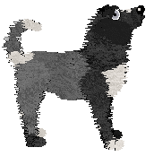 Profile image of SGP/King's Backside View