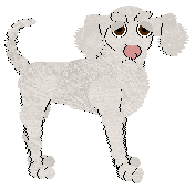 Profile image of FW/King's Big Pink Nose