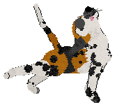 Ferality's Mahogany Teakwood — “Teak”