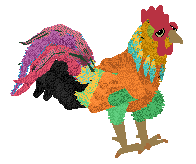 Profile image of Cirrutopia/Whimsy's Faster Than the Speed of Light