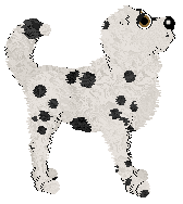 Profile image of Moon Lake/King's Dreams of Snow