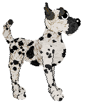 Perfume War Of Hormone — “Tennis”