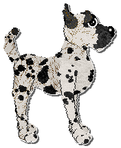 Profile image of Perfume War Of Hormone