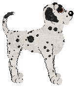 Ephemera Street Spirit — “Domino”