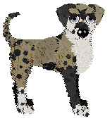 Ephemera Fake Plastic Trees — “Slumber”