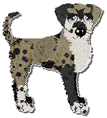 Profile image of Ephemera Fake Plastic Trees