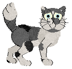 Perfume Chikushi Mountains — “Miyaki”