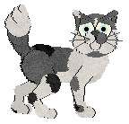 Perfume Chikushi Mountains — “Miyaki”