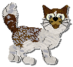 Profile image of Perfume Stellar Dreamers