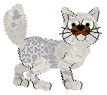 Perfume Timeless Lovers — “Heliotrope”