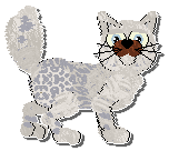 Profile image of Perfume Timeless Lovers