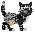 Perfume's Material Girl at Ferality — “Matty”